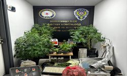 Antalya'da Uyuşturucu Madde İmal ve Ticareti Suçundan 14 Şüpheli Yakalandı